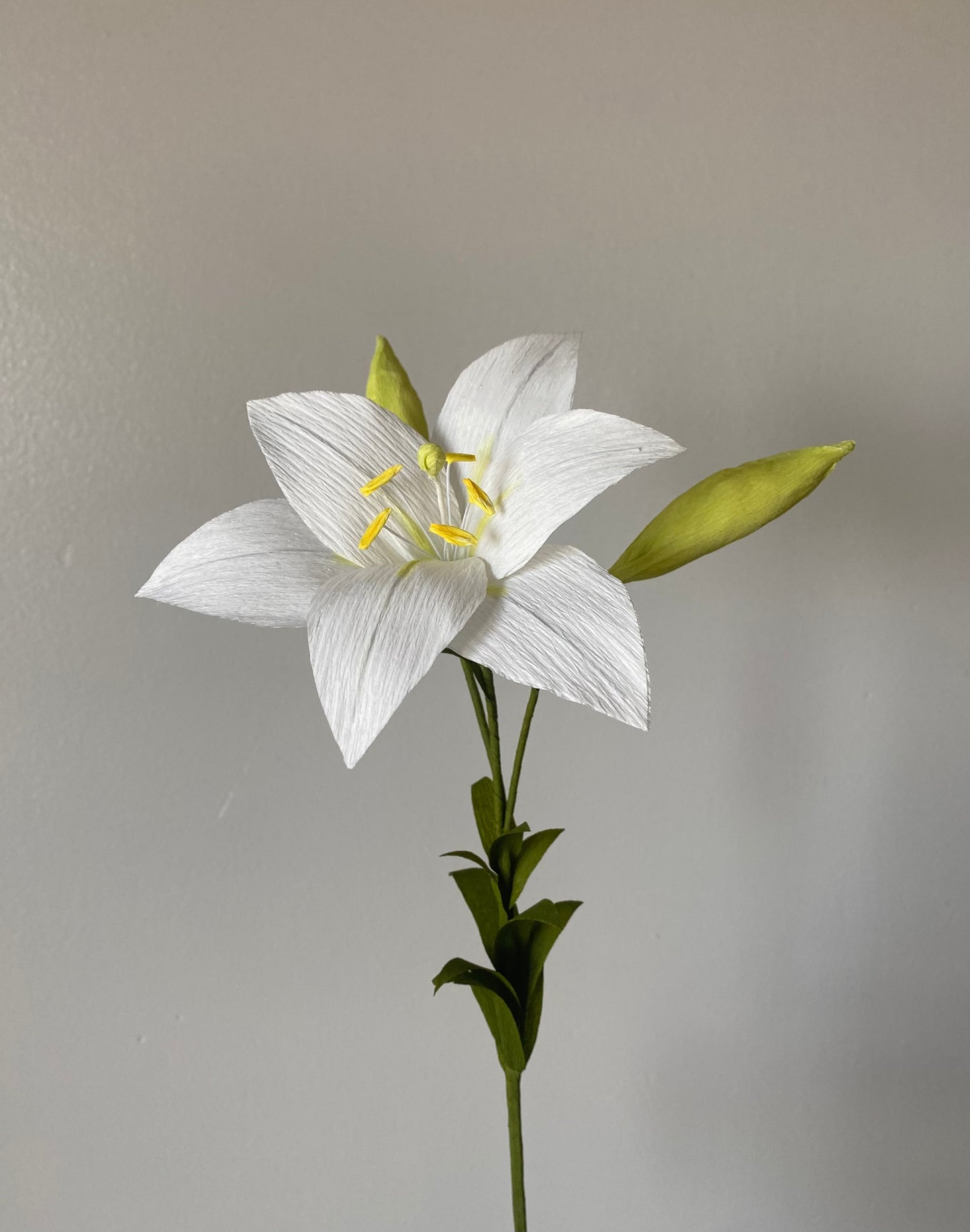 Single Stem Lily