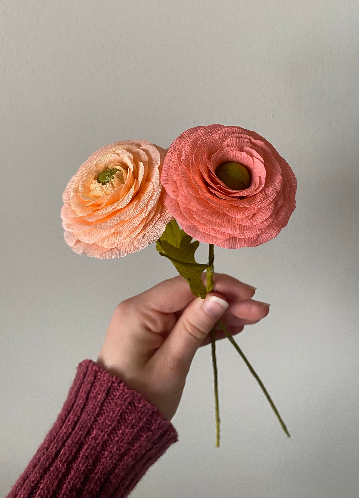 Single Stem Ranunculus