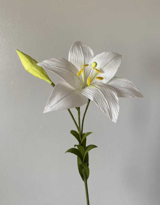 Single Stem Lily