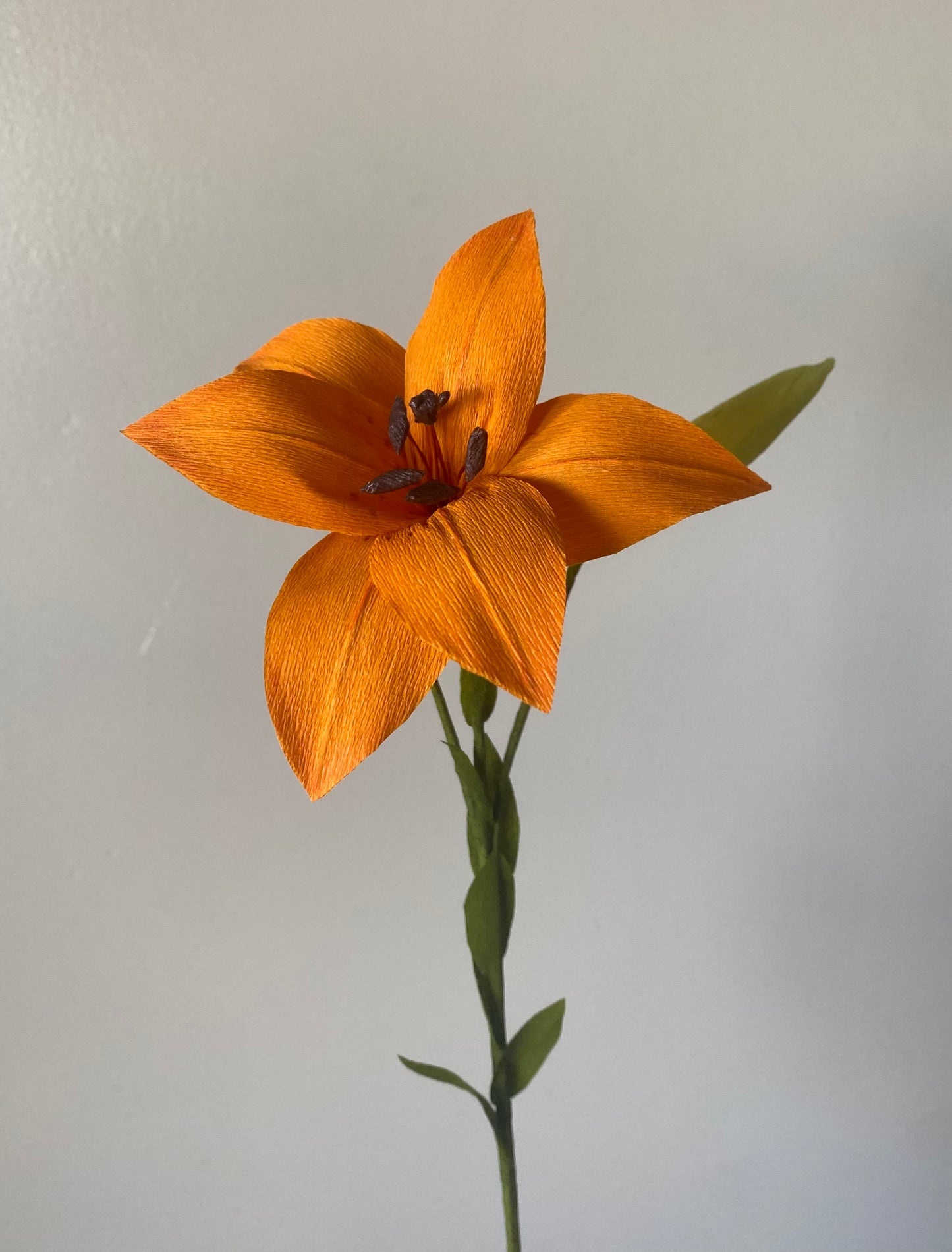 Single Stem Lily