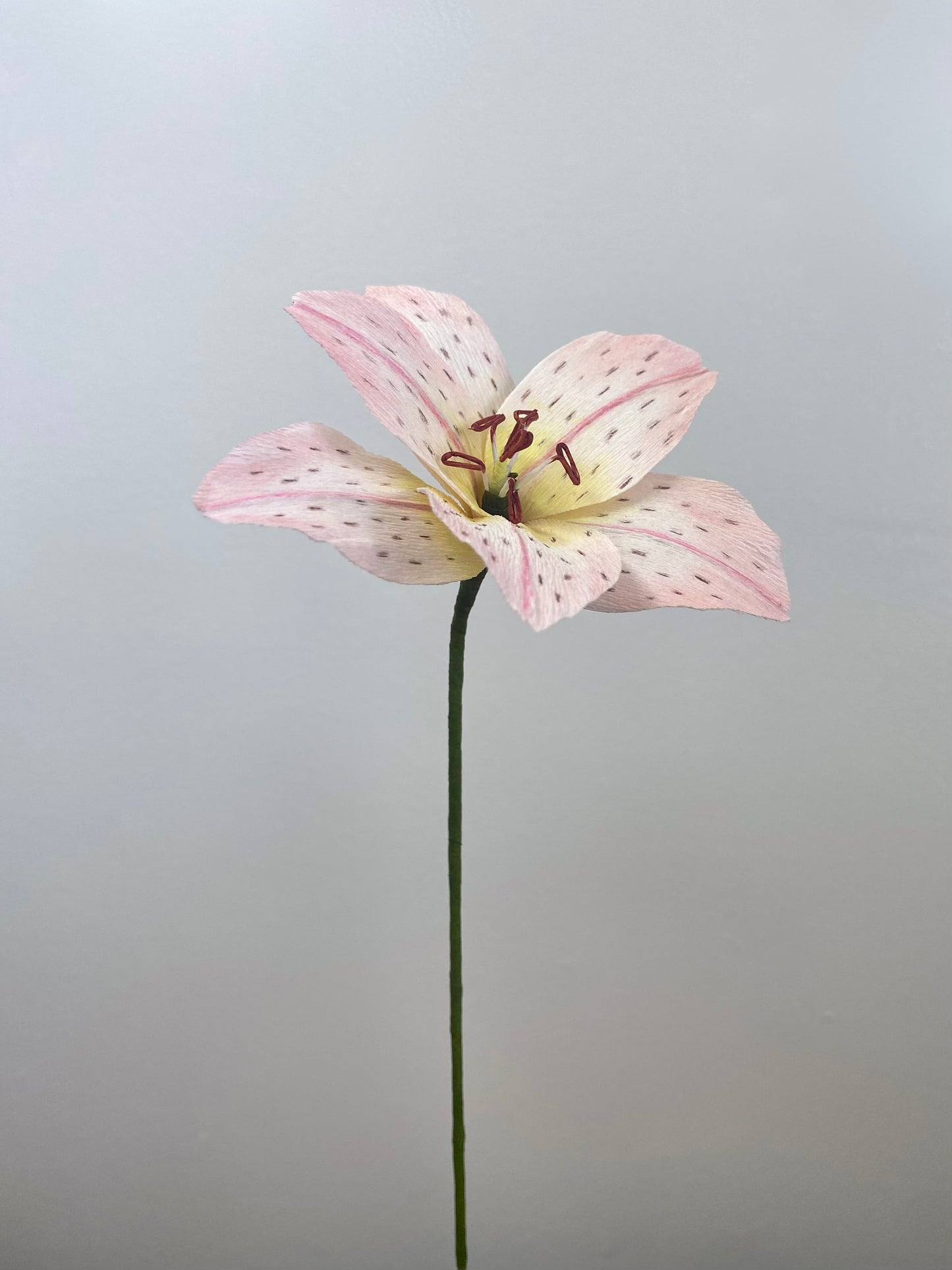 Single Stem Mini Lily