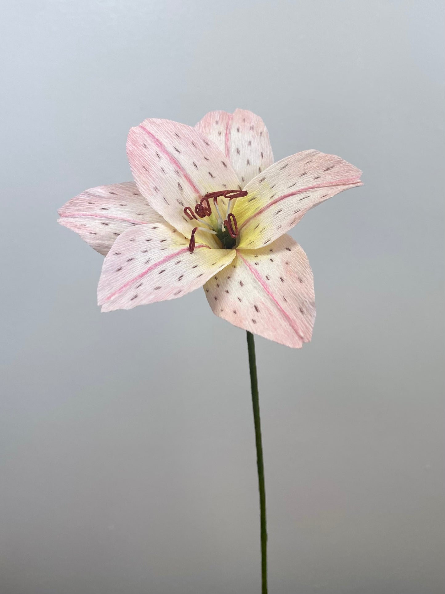 Single Stem Mini Lily