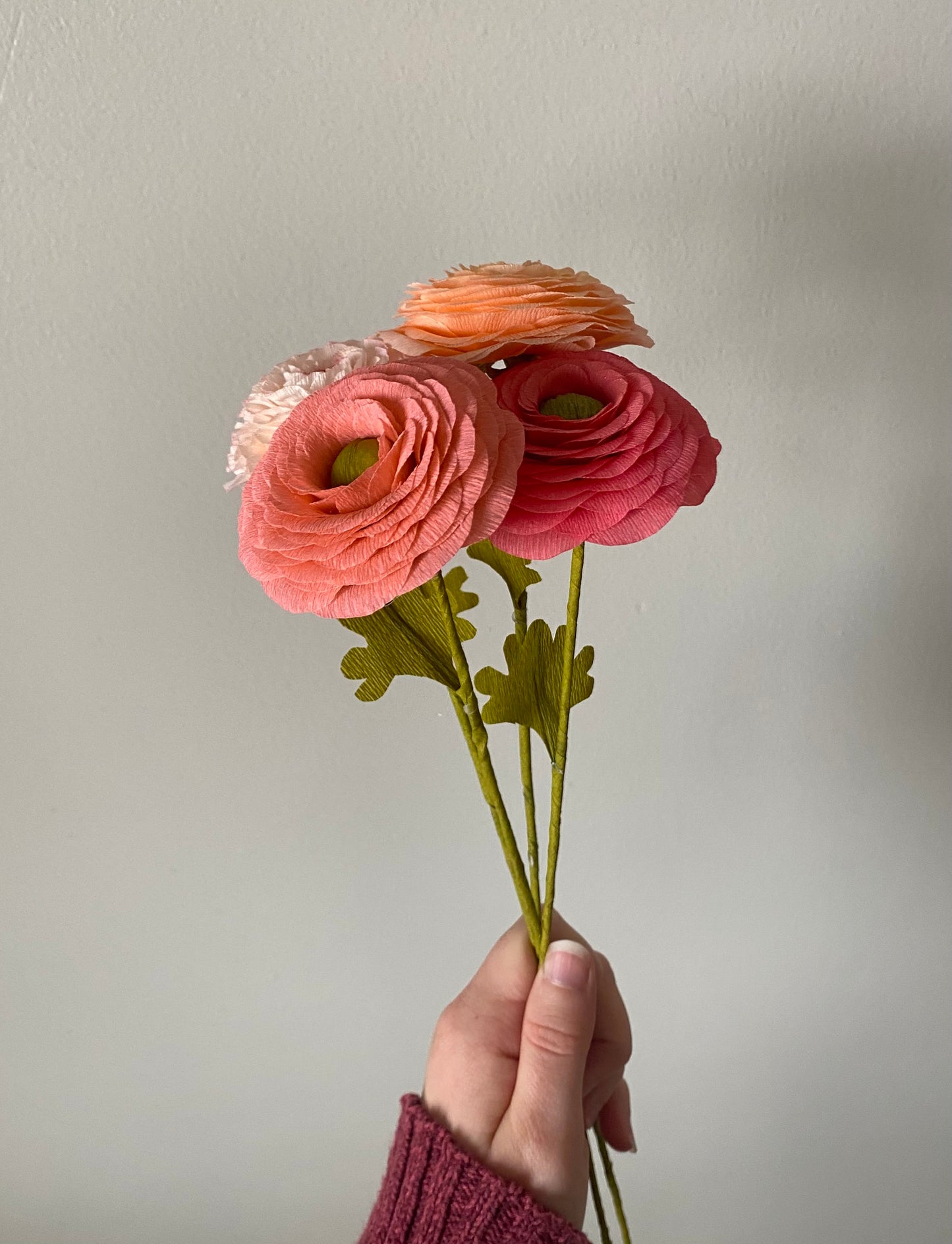 Single Stem Ranunculus