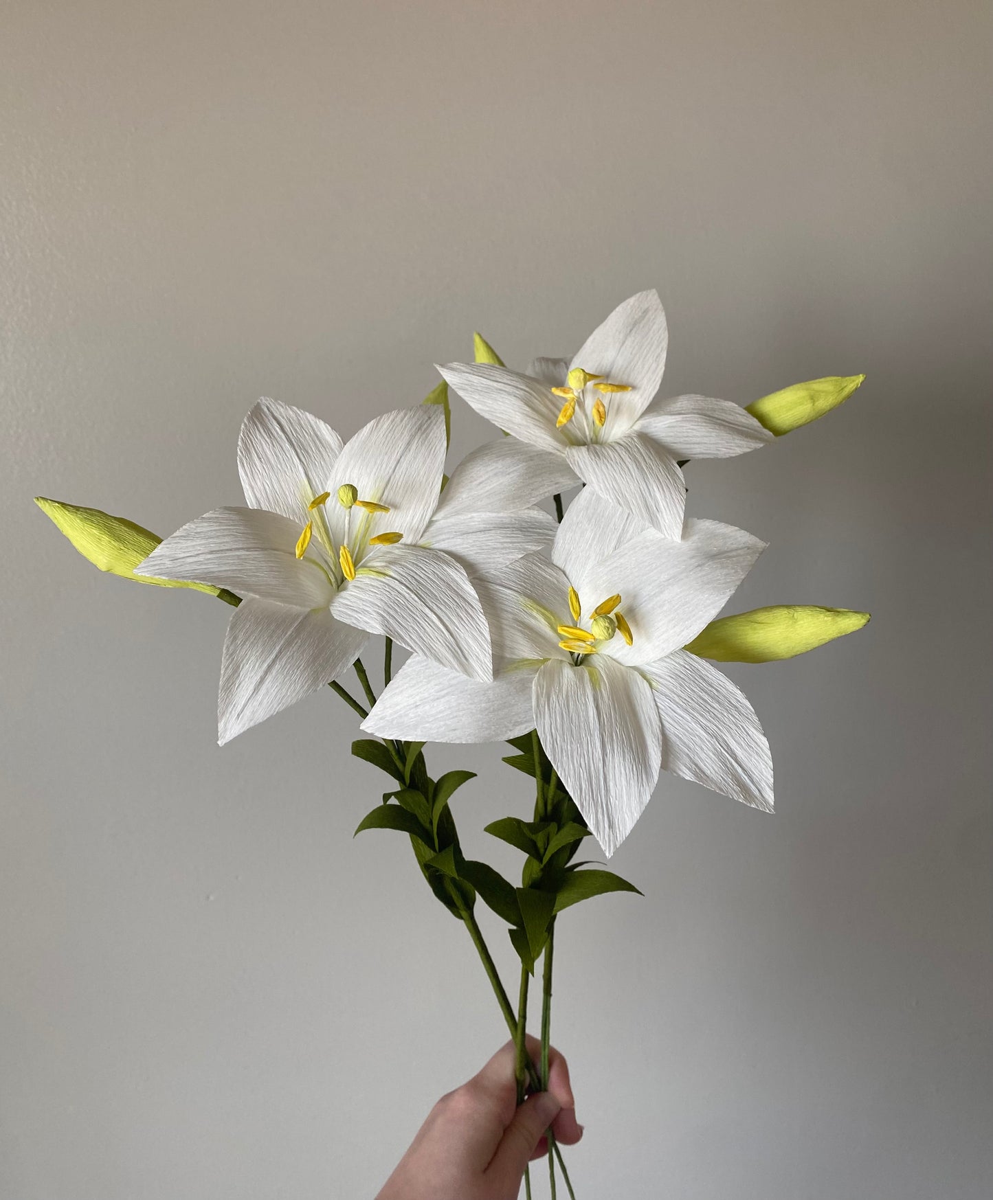 Single Stem Lily