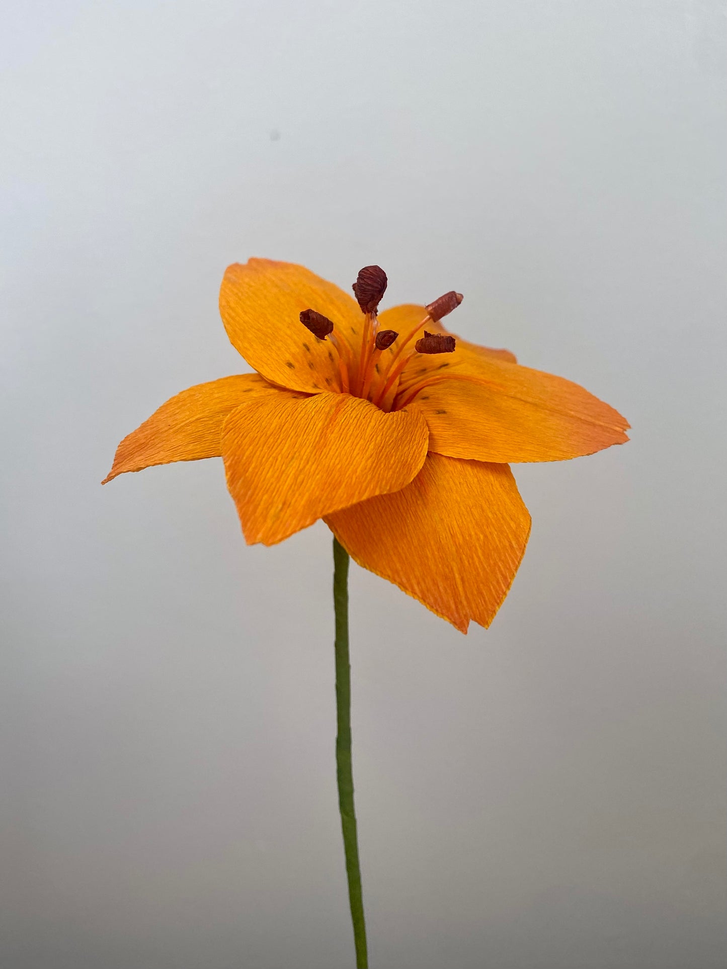 Single Stem Mini Lily
