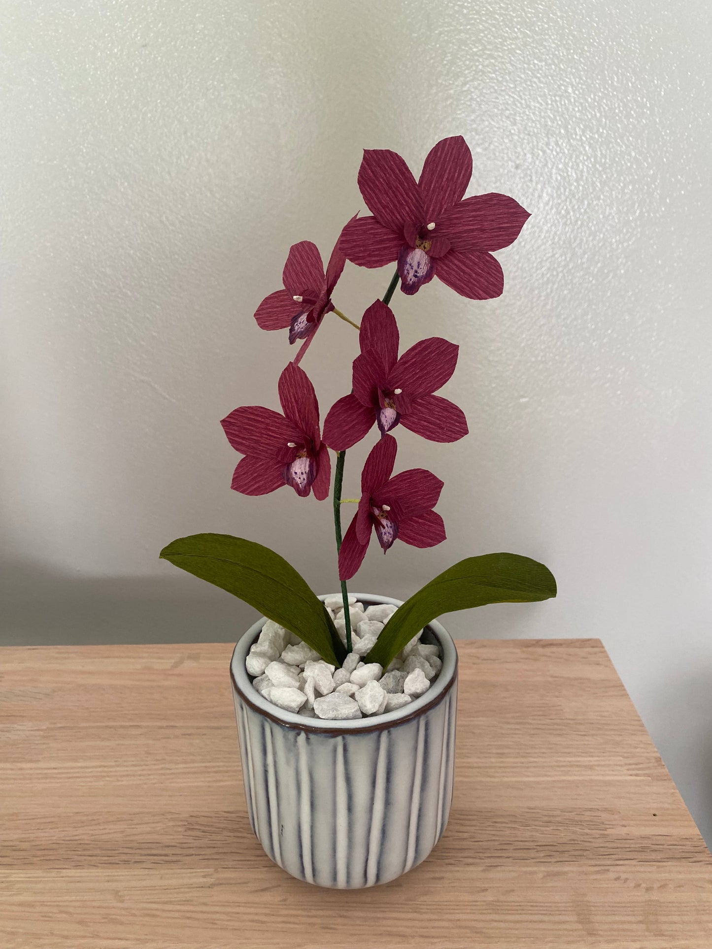 Mini Orchid