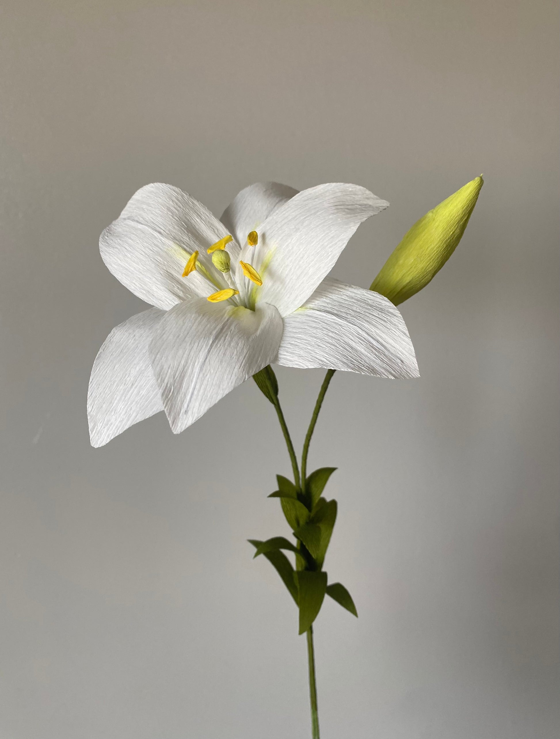 lily single flower Single Stem Lily – Fleur