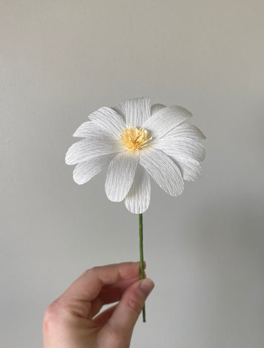 Single Stem Daisy